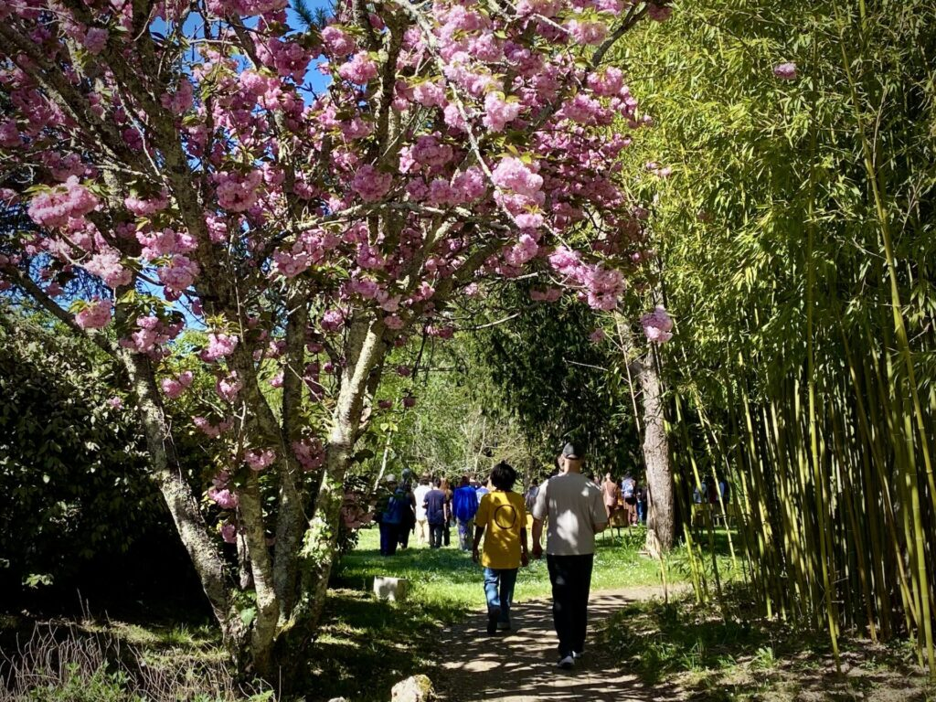 Plum Village